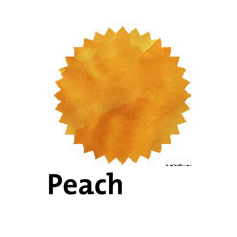 Robert Oster Peach Fountain Pen Ink