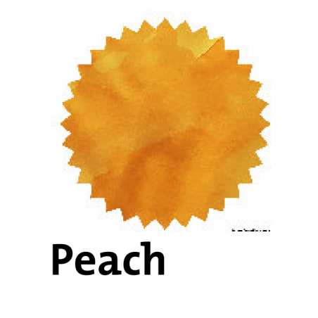 Robert Oster Peach Fountain Pen Ink