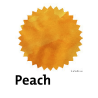 Robert Oster Peach Fountain Pen Ink
