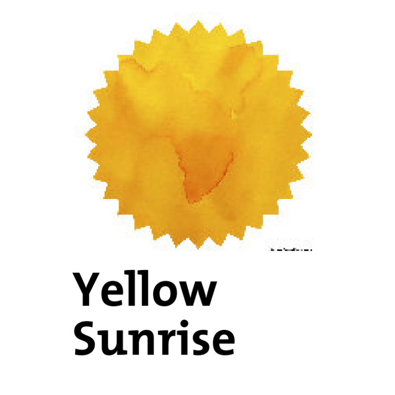 Robert Oster Yellow Sunrise Fountain Pen Ink