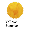 Robert Oster Yellow Sunrise Fountain Pen Ink