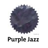 Robert Oster Purple Jazz Fountain Pen Ink