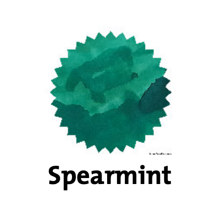 Robert Oster Spearmit Fountain Pen Ink