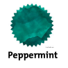 Robert Oster Peppermint Fountain Pen Ink