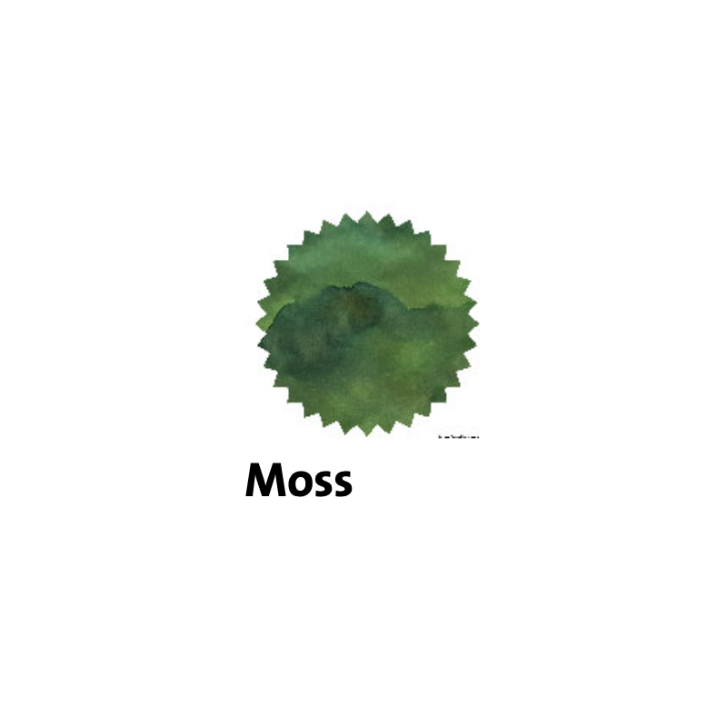 Robert Oster Moss Fountain Pen Ink