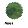 Robert Oster Moss Fountain Pen Ink
