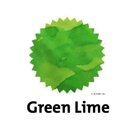 Robert Oster Green Lime Fountain Pen Ink