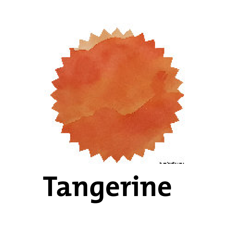 Robert Oster Tangerine Fountain Pen Ink