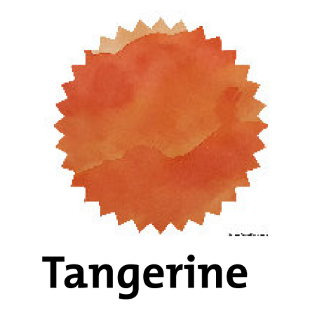 Robert Oster Tangerine Fountain Pen Ink