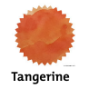 Robert Oster Tangerine Fountain Pen Ink