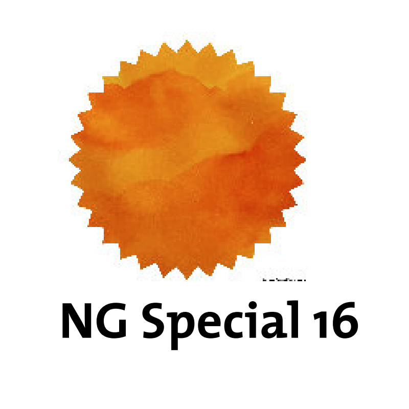 Robert Oster NG Special 16: Fountain Pen Ink