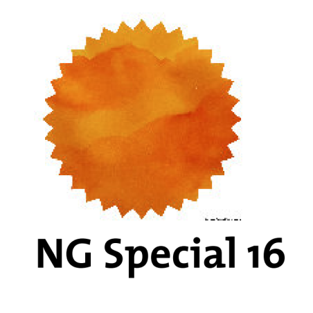 Robert Oster NG Special 16: Fountain Pen Ink