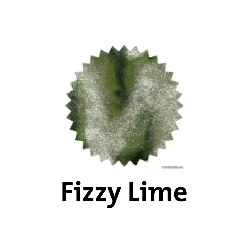 Robert Oster Fizzy Lime Shake'N'Shimmy™ Fountain Pen Ink