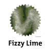 Robert Oster Fizzy Lime Shake'N'Shimmy™ Fountain Pen Ink