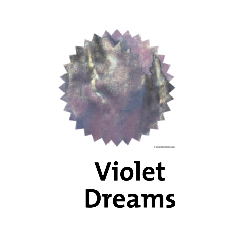 Robert Oster Violet Dreams Shake'N'Shimmy™ Fountain Pen Ink