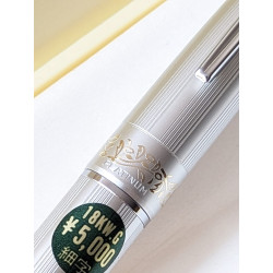 70's Platinum Pinstripe 18K-WG Fine Nib Fountain Pen