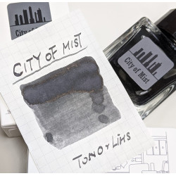 Tono&Lims City Of Mist Fountain Pen Ink