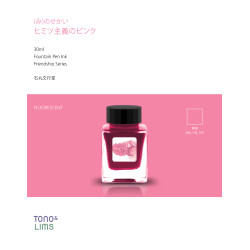 Tono&Lims Secretive Pink World Fountain Pen Ink